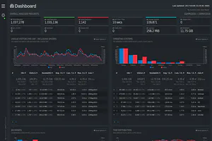 GoAccess Log analyzer for nginx and Phoenix