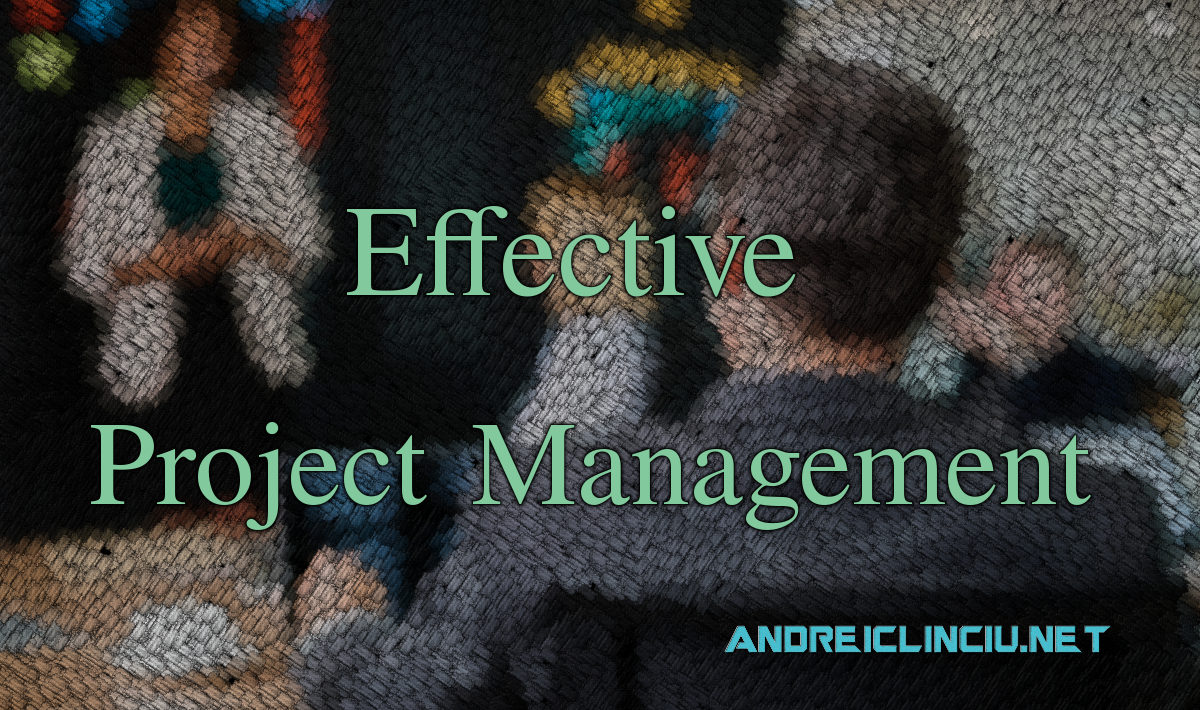 Effective Project Management Book Review