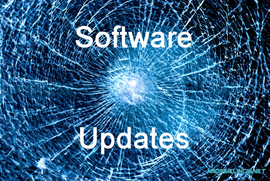 The Frivolity of Software and Software Updates