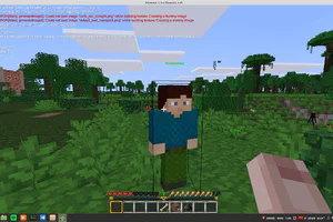 Mirific Minetest Mods - NPC